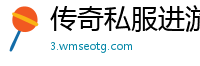 传奇私服进游戏无响应