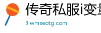 传奇私服i变量怎么检测